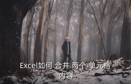Excel如何 合并 兩個 單元格 內容