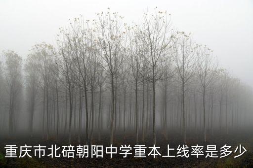 重慶市中學升本率，重慶市綦江中學2010年升學率是多少重點本科多少有無