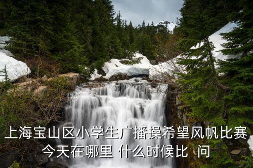 上海市小生廣播操，上海的廣播體操