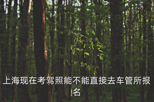 上海現(xiàn)在考駕照能不能直接去車管所報(bào)名