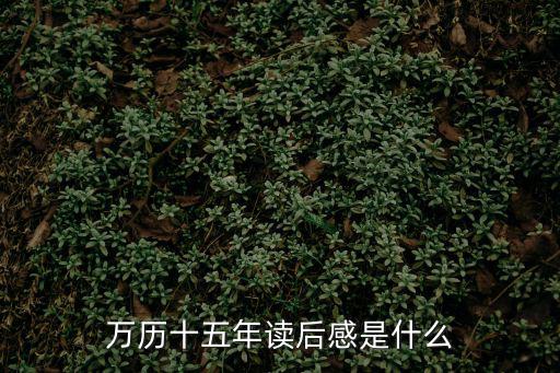 萬歷十五年讀后感，萬歷十五年讀后感是什么