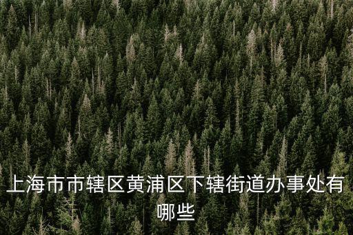 上海市市轄區黃浦區下轄街道辦事處有哪些