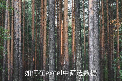 如何在excel中篩選數據