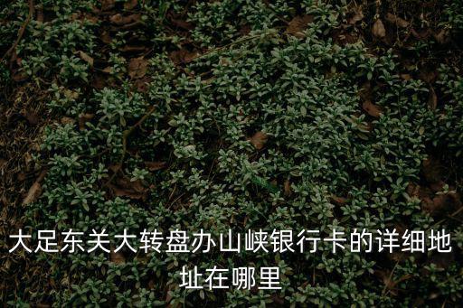 大足東關(guān)大轉(zhuǎn)盤辦山峽銀行卡的詳細(xì)地址在哪里