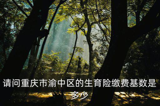 請問重慶市渝中區的生育險繳費基數是多少