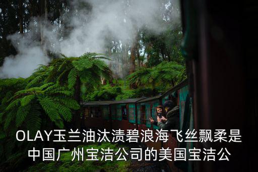 廣州寶潔照片，廣州寶潔在南寧有招聘嗎