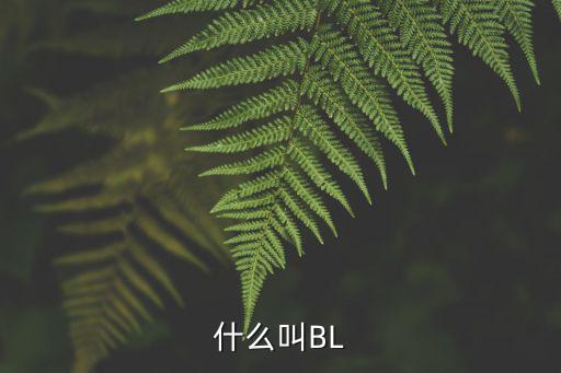 什么叫BL