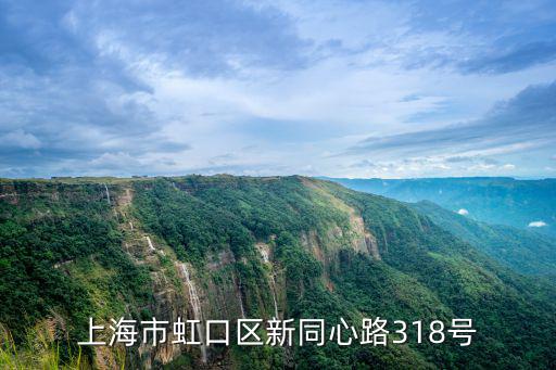 上海市虹口區(qū)新同心路318號(hào)