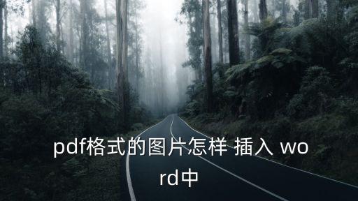  pdf格式的圖片怎樣 插入 word中