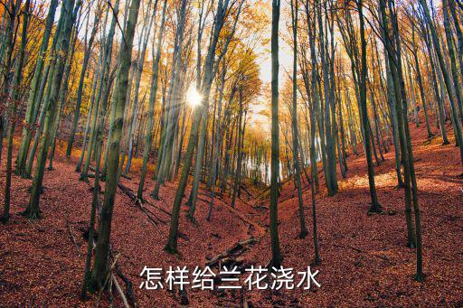 怎樣給蘭花澆水