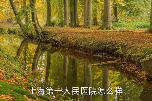 上海第一人民醫院怎么樣