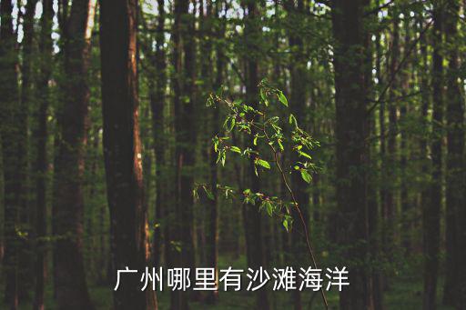 廣州哪里有沙灘海洋