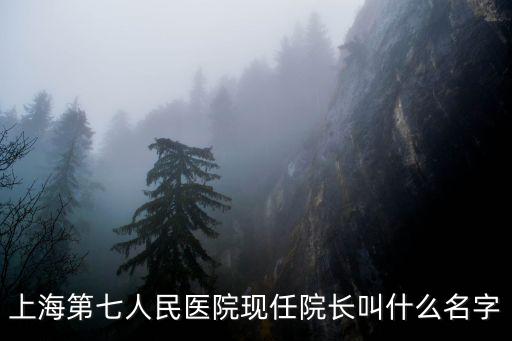 上海市宛平醫院歷任院長，上海第七人民醫院現任院長叫什么名字
