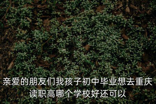重慶市可以考大學的職高，親愛的朋友們我孩子初中畢業(yè)想去重慶讀職高哪個學校好還可以