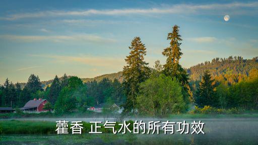 藿香正氣水的作用,藿香正氣水治療水土不服效果好