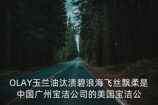 OLAY玉蘭油汰漬碧浪海飛絲飄柔是中國廣州寶潔公司的美國寶潔公