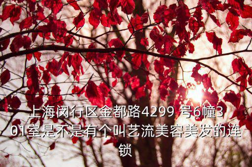 上海閔行區金都路4299 號6幢301室是不是有個叫藝流美容美發的連鎖