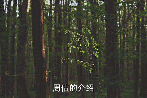 周倩的介紹