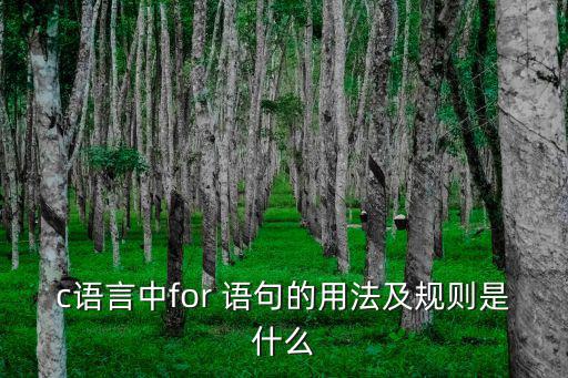 for語句,循環(huán)體1終止循環(huán)變量}循環(huán)語句句型理解