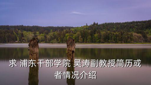 上海市委吳濤，求 浦東干部學院 吳濤副教授簡歷或者情況介紹
