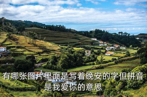 有哪張圖片里面是寫著晚安的字但拼音是我愛你的意思