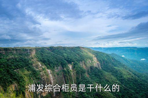 綜合柜員崗位職責(zé)，浦發(fā)綜合柜員是干什么的