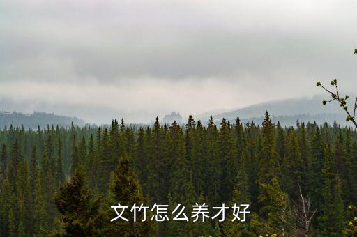 文竹盆景怎么養,竹鞭怕淹!竹葉荷花養在半透光下才能盛開