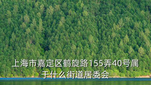 上海市嘉定區(qū)鶴旋路155弄40號屬于什么街道居委會