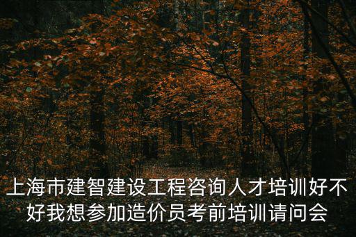 上海市人才培訓會，上海市建智建設工程咨詢人才培訓好不好我想參加造價員考前培訓請問會