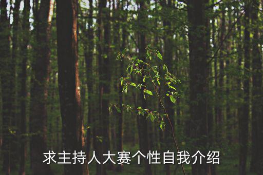 主持人大賽自我介紹，求主持人大賽個性自我介紹