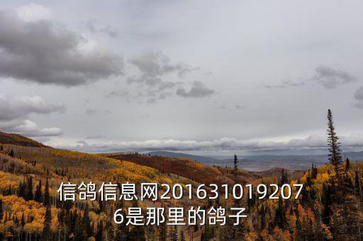 重慶市永川區信鴿比賽網站，信鴿信息網2016310192076是那里的鴿子