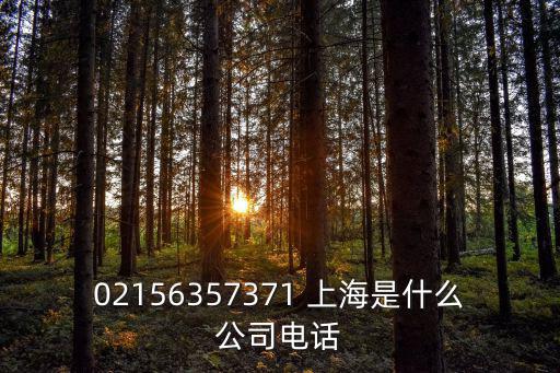 02156357371 上海是什么公司電話