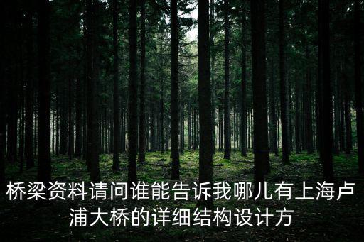 橋梁資料請問誰能告訴我哪兒有上海盧浦大橋的詳細結構設計方