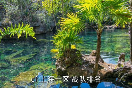 cf 上海一區(qū) 戰(zhàn)隊排名
