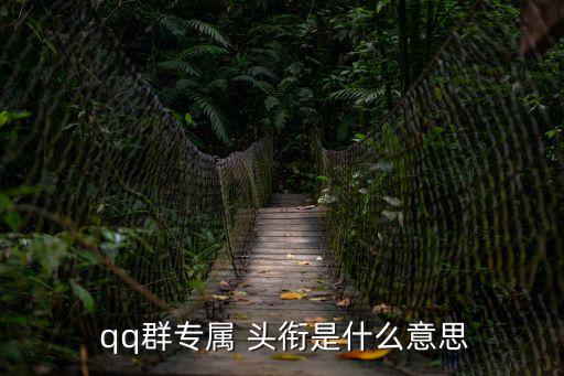  qq群專屬 頭銜是什么意思