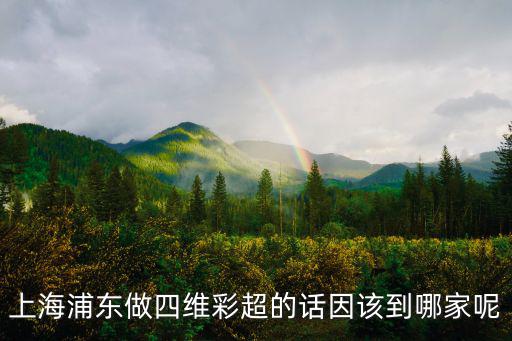 上海浦東做四維彩超的話因該到哪家呢