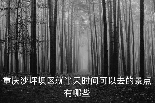 重慶市區(qū)半日游推薦，重慶市區(qū)又那些地方適合玩半天不需要走很多路但是內(nèi)容豐富的地