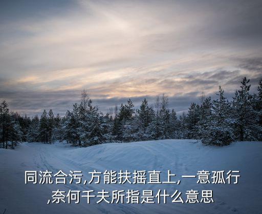  同流合污,方能扶搖直上,一意孤行,奈何千夫所指是什么意思