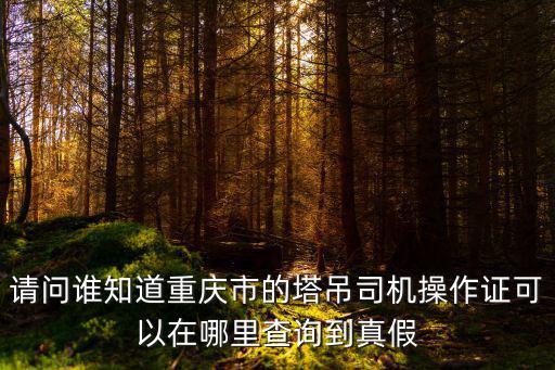 請問誰知道重慶市的塔吊司機操作證可以在哪里查詢到真假