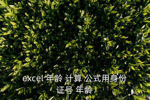 excel 年齡 計算 公式用身份證號 年齡