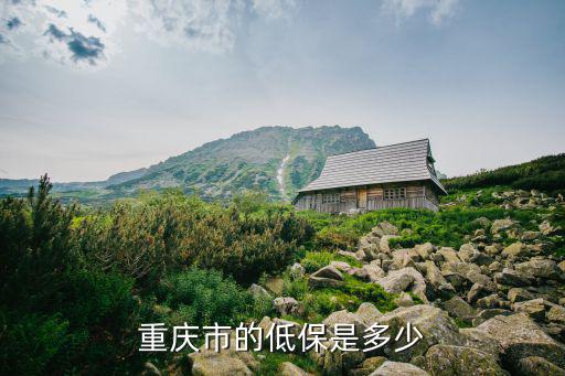 重慶市的低保是多少