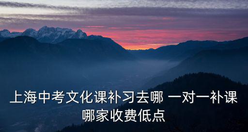 上海中考文化課補習去哪 一對一補課哪家收費低點