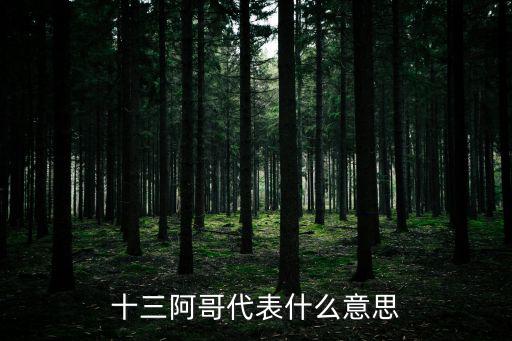 十三阿哥代表什么意思