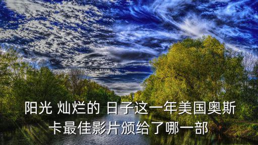 陽光燦爛的日子影評,《阿甘正傳》獲奧斯卡金像獎最佳影片