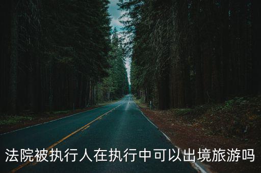 上海市人民法院限制出境，法院被執行人在執行中可以出境旅游嗎