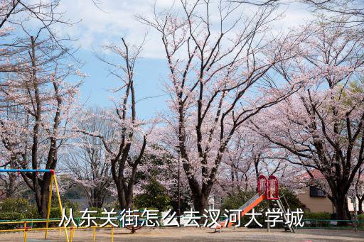 從東關街怎么去汊河大學城