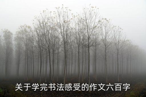 關(guān)于學(xué)完書法感受的作文六百字