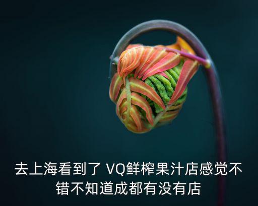 去上海看到了 VQ鮮榨果汁店感覺不錯不知道成都有沒有店