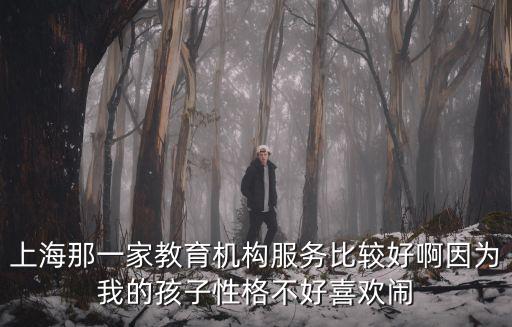 上海那一家教育機構服務比較好啊因為我的孩子性格不好喜歡鬧