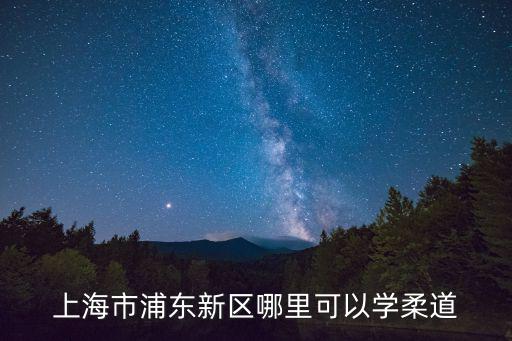 上海市商業學校柔道，哪里學柔道上海市嘉定區